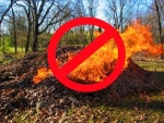 Про шкідливість спалювання сухої трави, залишків рослиності, листя та сміття