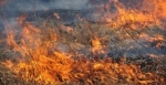 Рятувальники закликають громадян відмовитися від звички спалювання сухої трави, сміття та чагарників!
