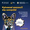 Шахрайські вакансії або робота, якої не існує!