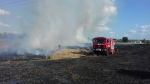 Рятувальники загасили пожежу на пшеничному полі та врятували 140 гектарів злакових