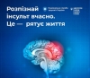 Яка медична допомога гарантована внутрішньо переміщеним особам при інсульті