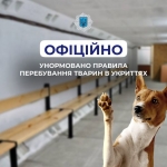 Міністерство внутрішніх справ України врегулювало питання перебування домашніх тварин в укриттях