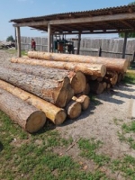 Робота комісії з легалізації роботи лісопильних об’єктів та ліквідації нелегального обігу деревини на території Луцького району