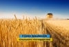 Дорогі працівники сільськогосподарської галузі, ветерани аграрної справи, господарі та хлібороби!