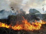 ДСНС закликає громадян дотримуватися правил безпеки в екосистемах під час пожежонебезпечного періоду